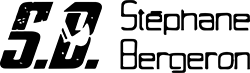 Logo Excavation Stéphane Bergeron